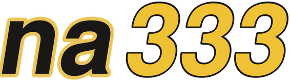 na333 logo